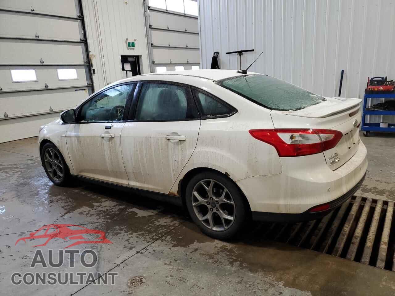 FORD FOCUS 2014 - 1FADP3F24EL385257