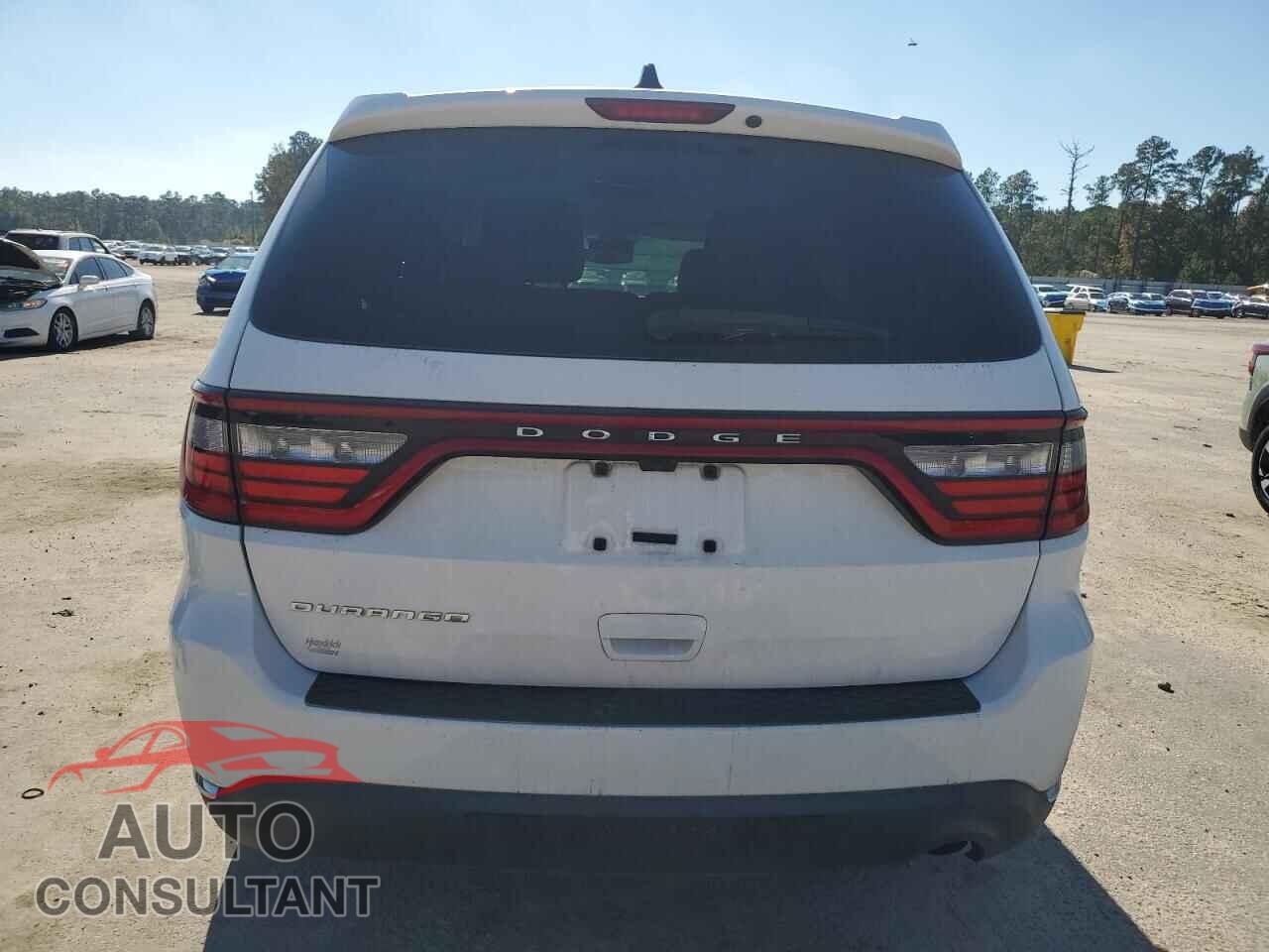 DODGE DURANGO 2019 - 1C4RDHAG5KC817438