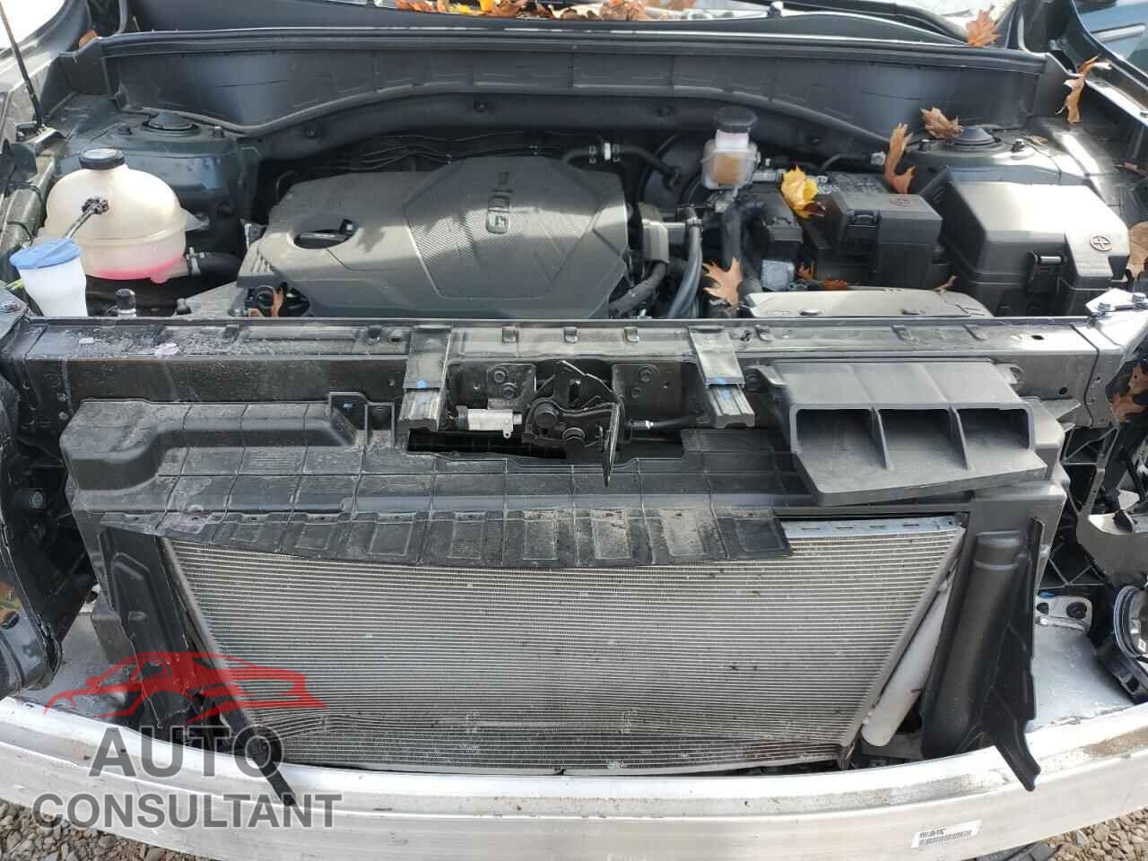 KIA SORENTO 2023 - 5XYRLDLC0PG174960