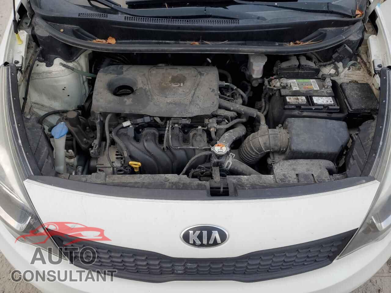 KIA RIO 2017 - KNADM4A32H6070532