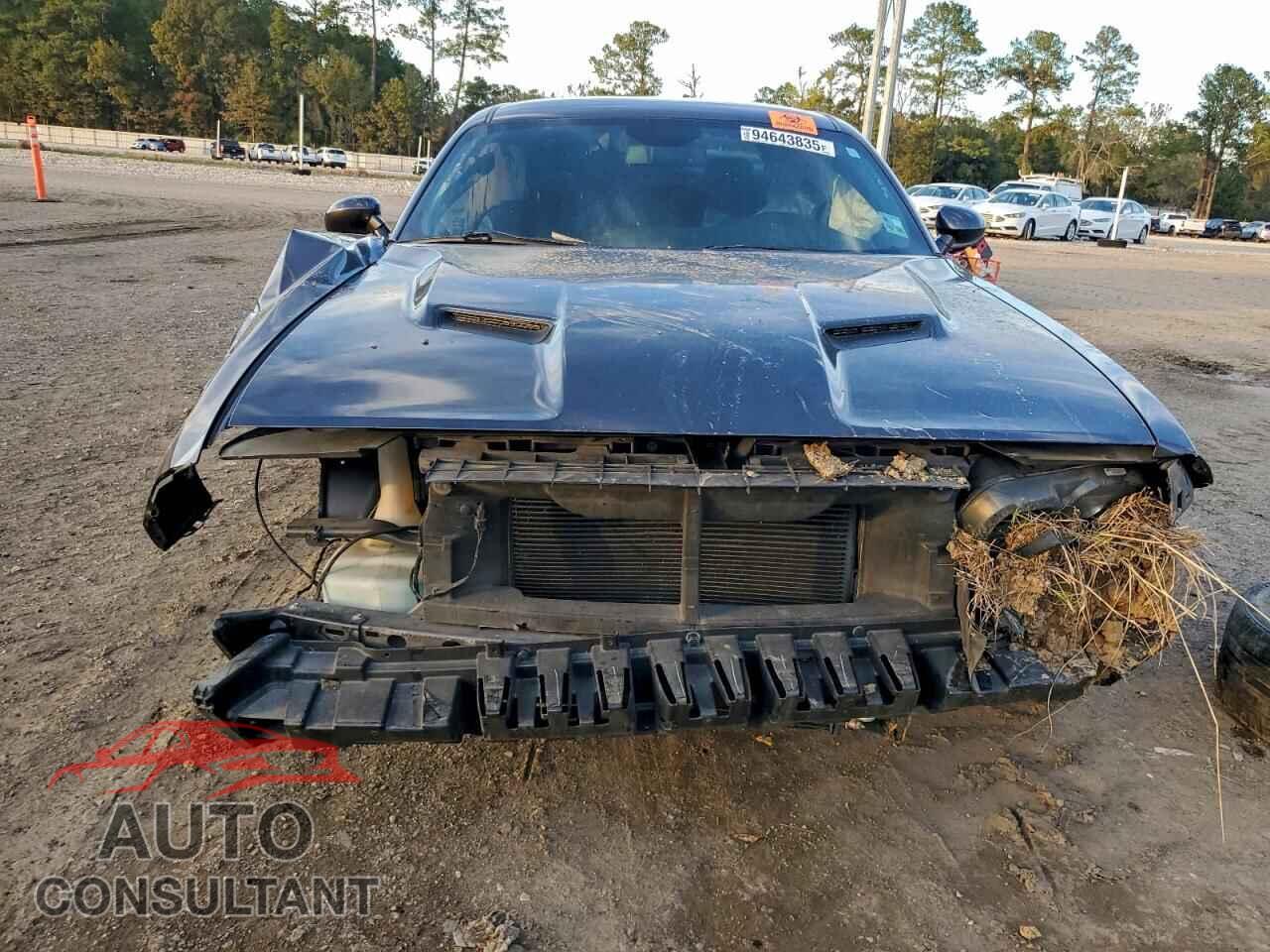 DODGE CHALLENGER 2018 - 2C3CDZAG7JH255523