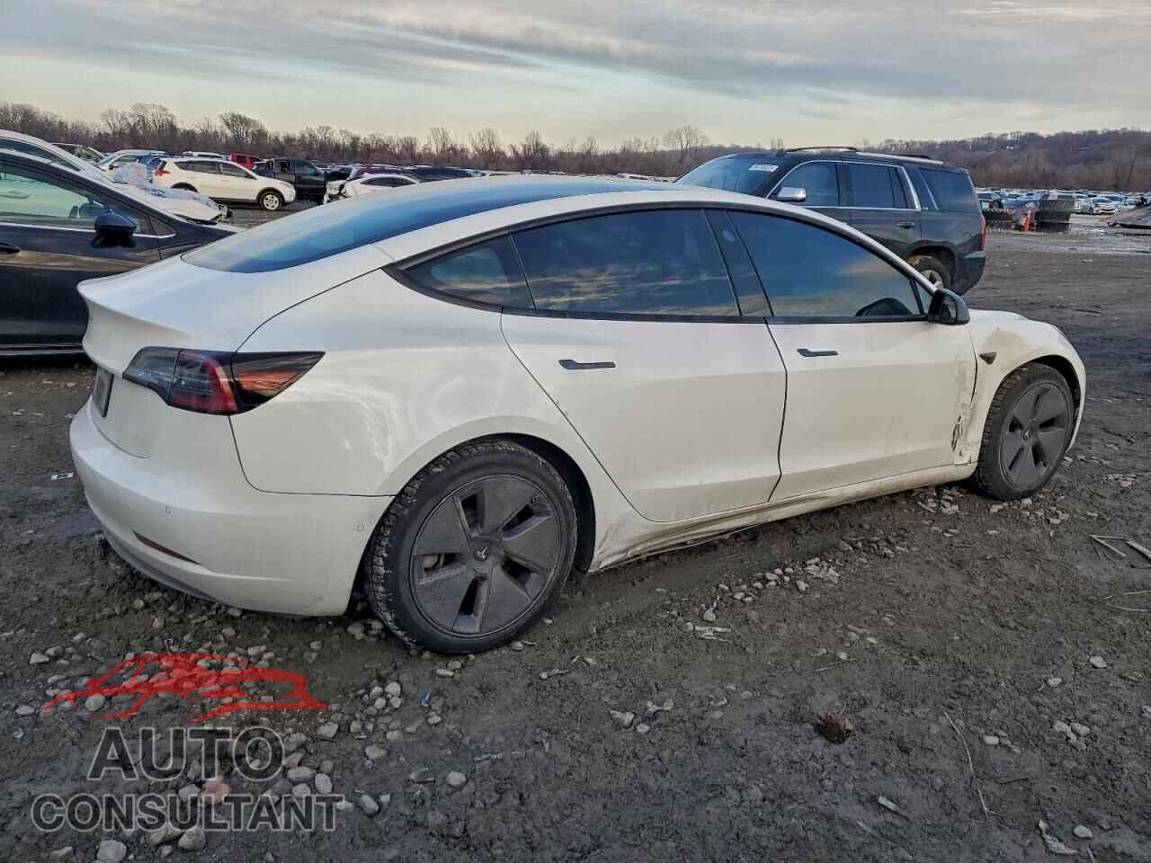 TESLA MODEL 3 2021 - 5YJ3E1EA1MF853665