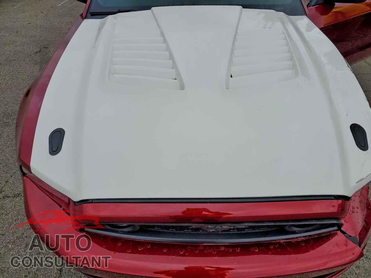 FORD MUSTANG 2014 - 1ZVBP8CF2E5282426