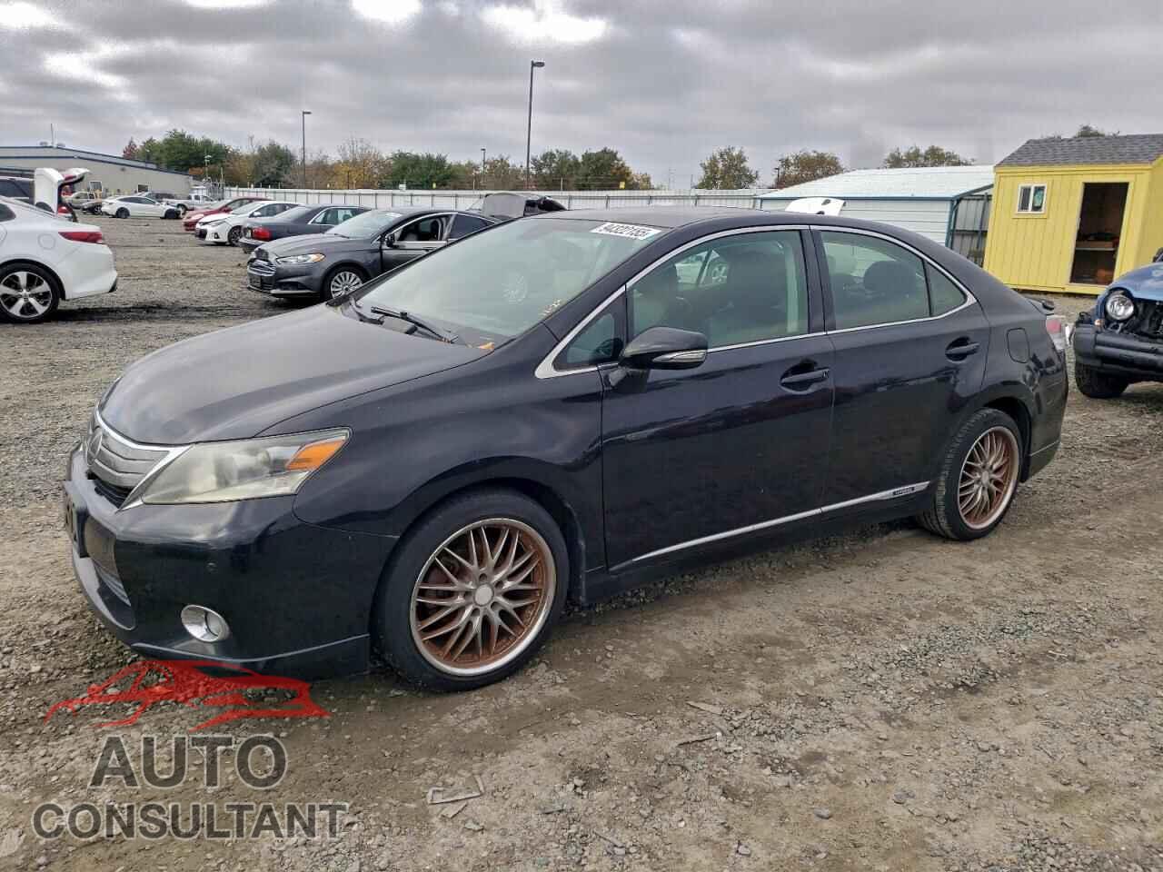 LEXUS HS 2010 - JTHBB1BA4A2003356