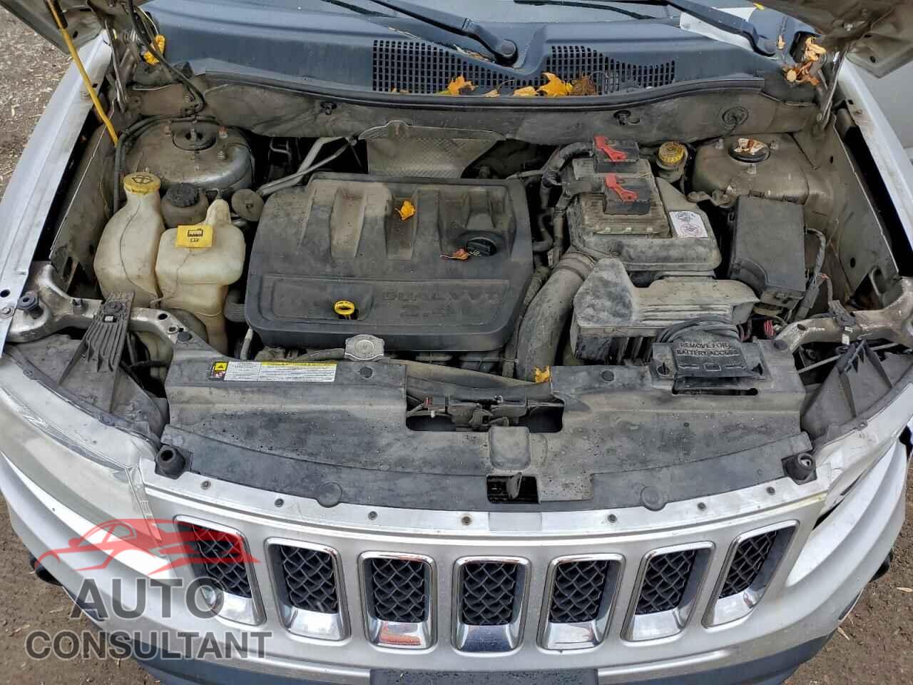 JEEP COMPASS 2011 - 1J4NF4FB3BD169584