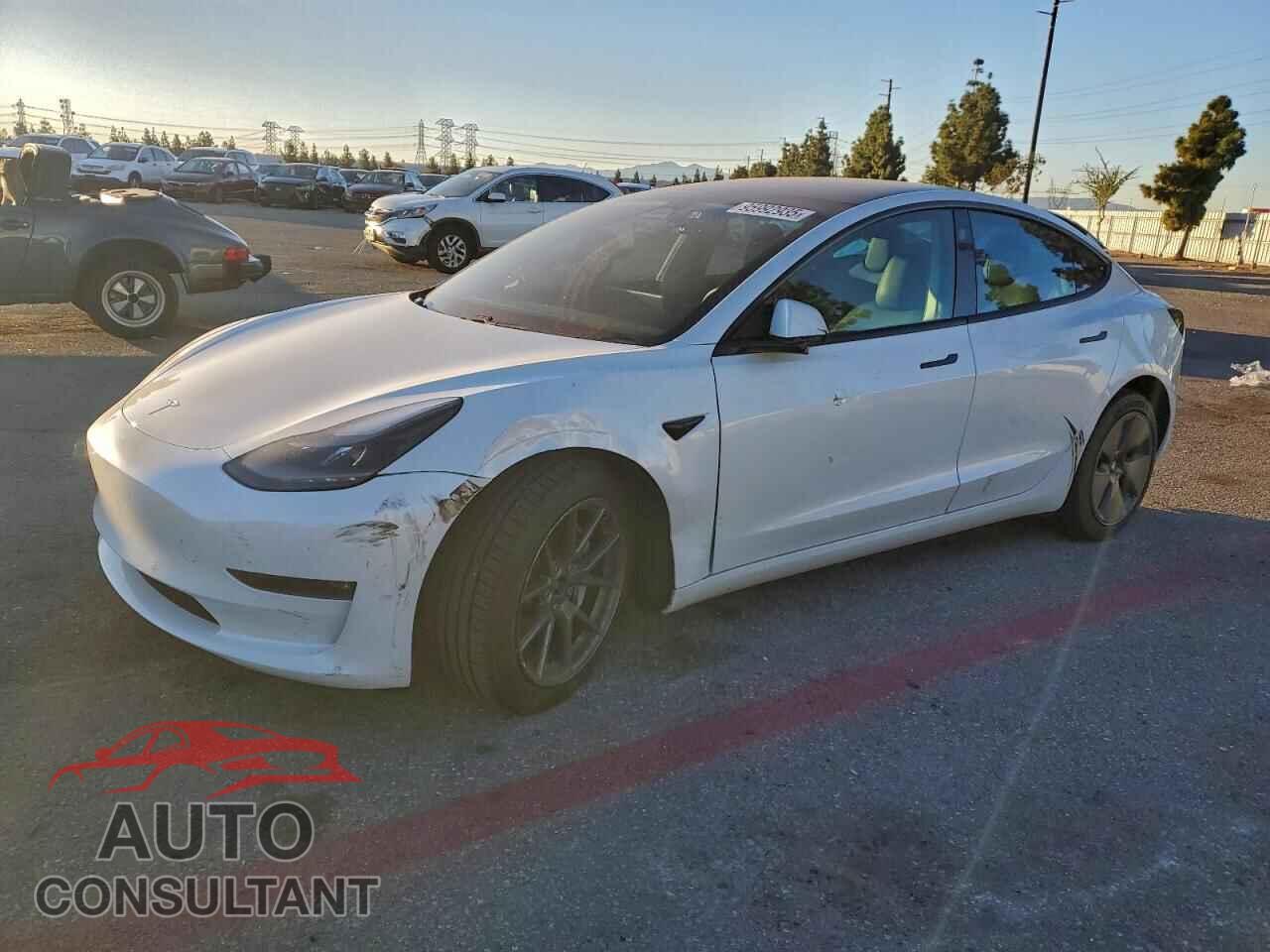 TESLA MODEL 3 2021 - 5YJ3E1EB3MF070582