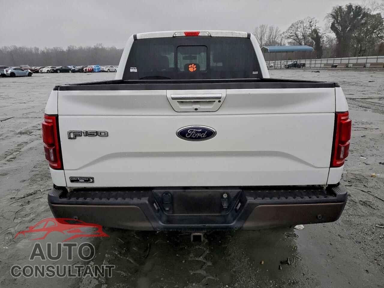 FORD F-150 2016 - 1FTEW1EG7GFC79020