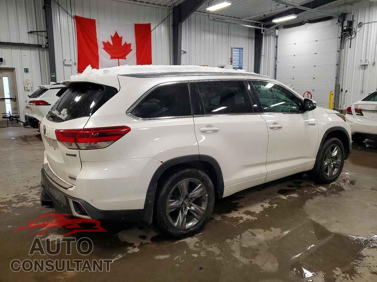 TOYOTA HIGHLANDER 2017 - 5TDDGRFH8HS021069