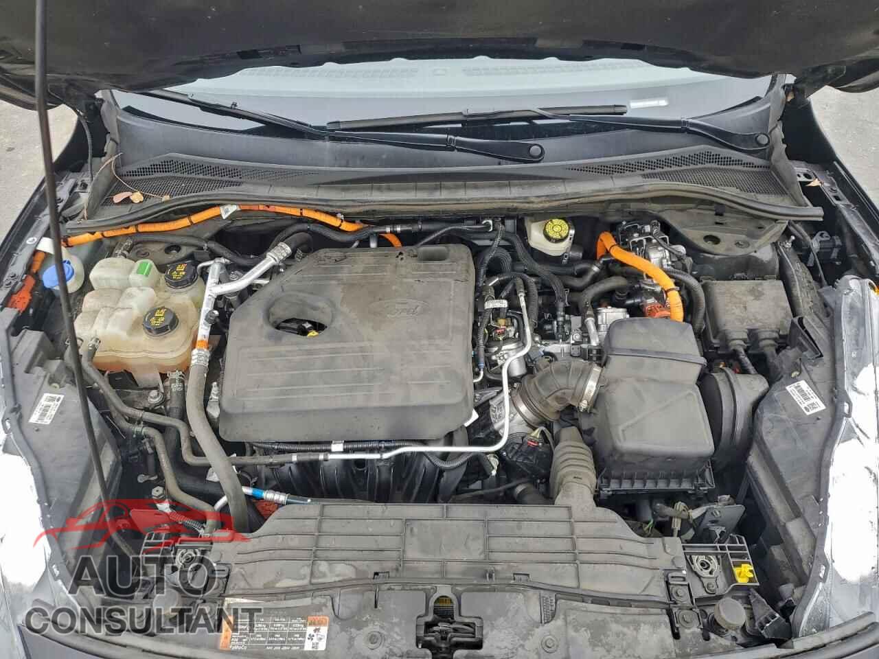 FORD ESCAPE 2020 - 1FMCU0DZ1LUA35360