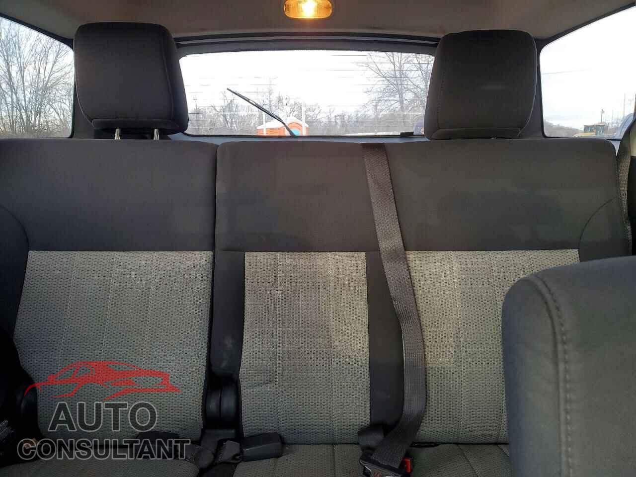 DODGE NITRO 2010 - 1D4PU4GK6AW170981