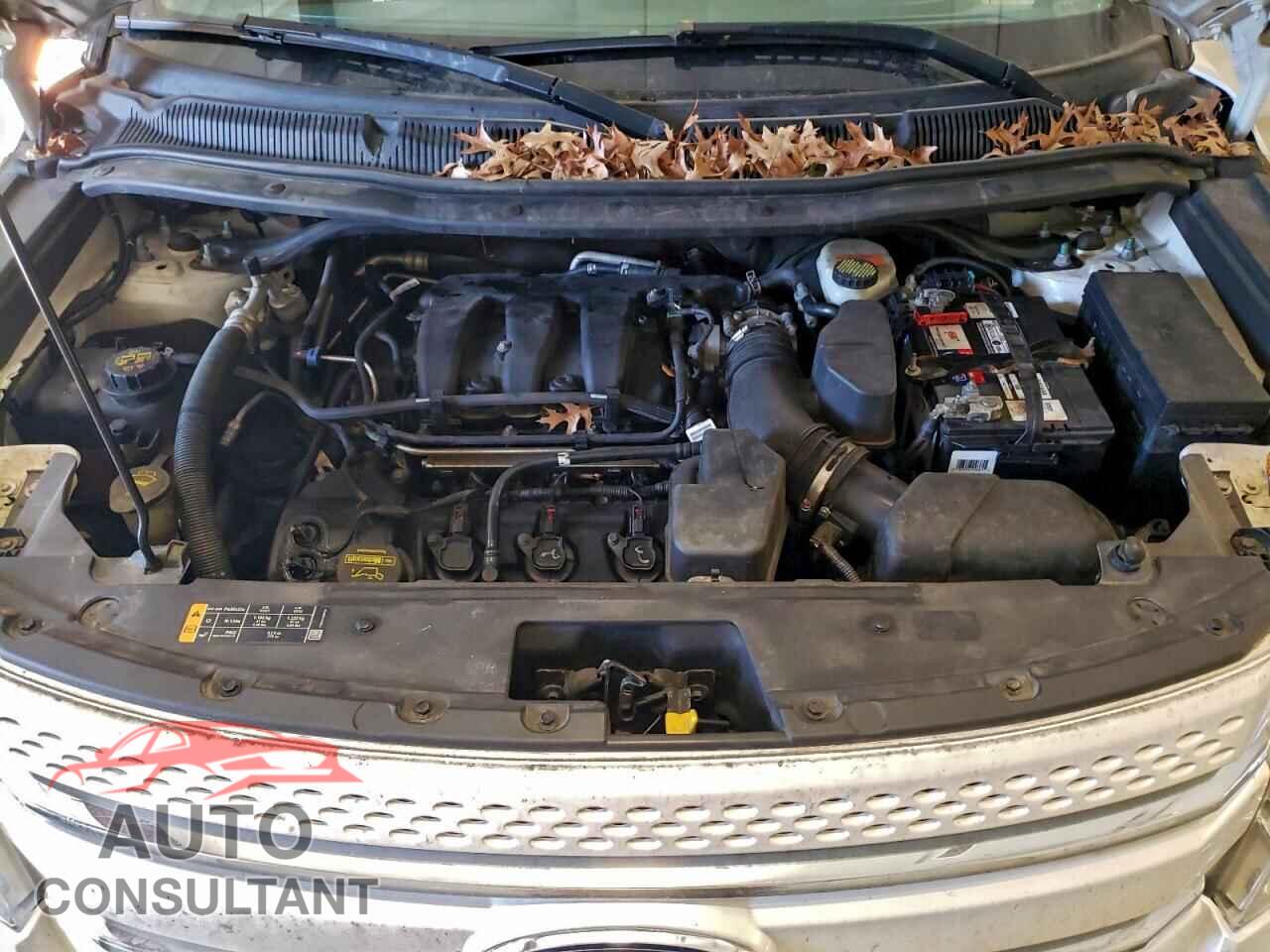 FORD EXPLORER 2013 - 1FM5K8F83DGA93276