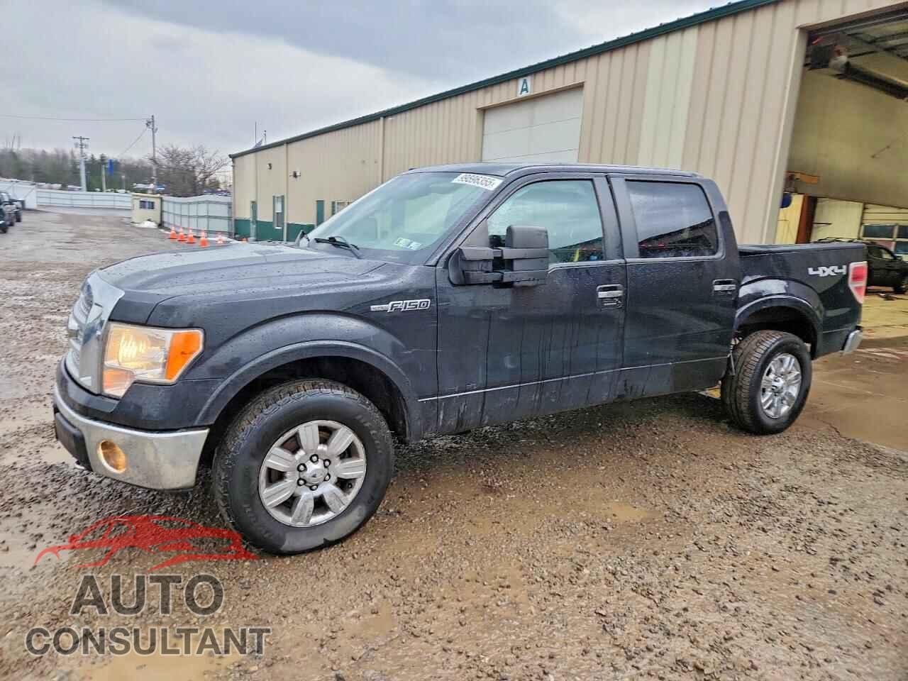 FORD F-150 2010 - 1FTFW1EV3AFB06377