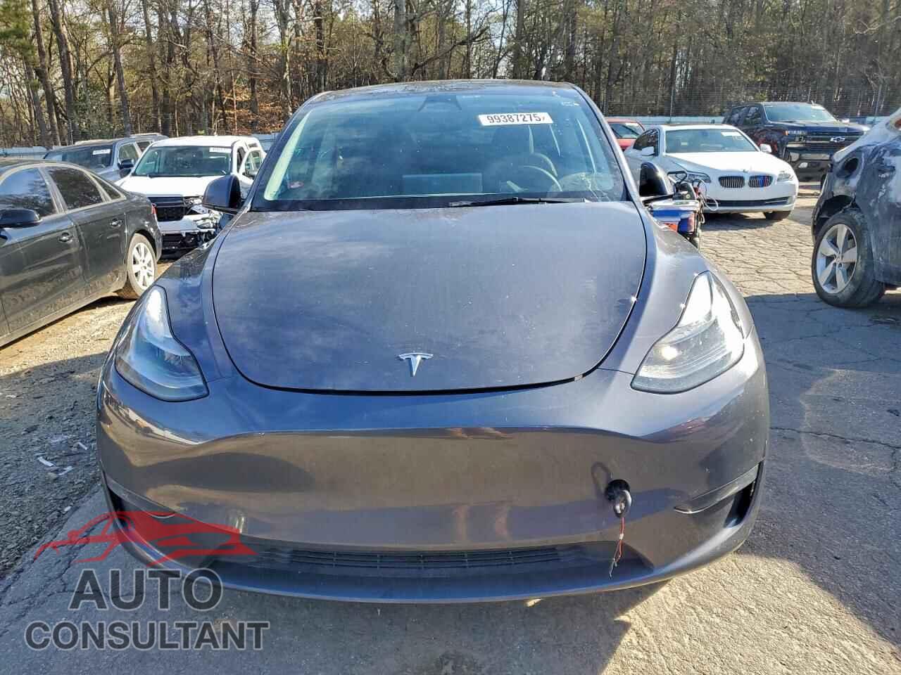 TESLA MODEL Y 2023 - 7SAYGAEE9PF707783
