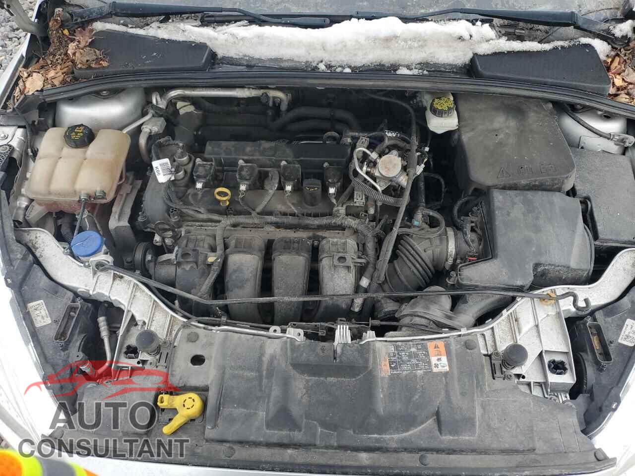 FORD FOCUS 2017 - 1FADP3F22HL308908
