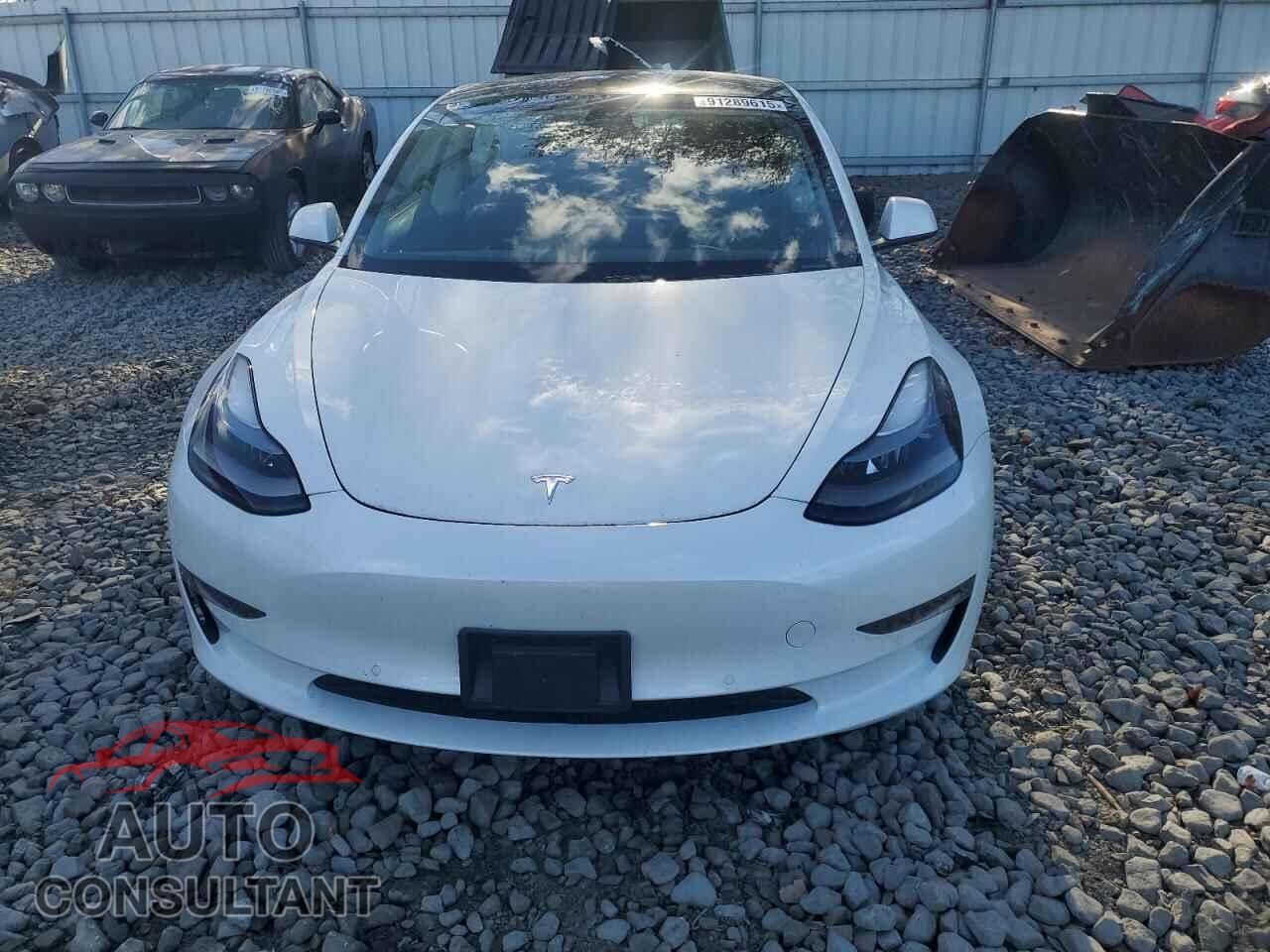 TESLA MODEL 3 2021 - 5YJ3E1EA8MF063618