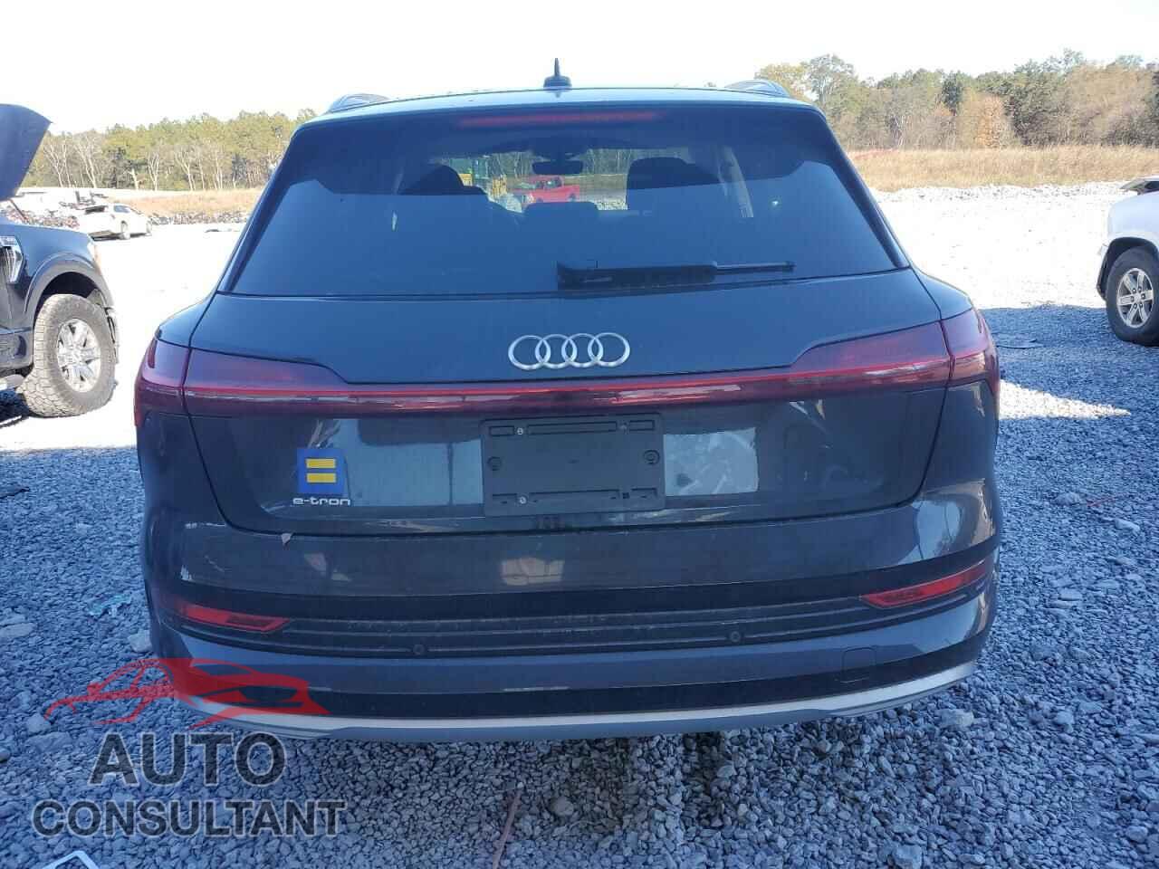AUDI E-TRON 2019 - WA1VABGE5KB013036