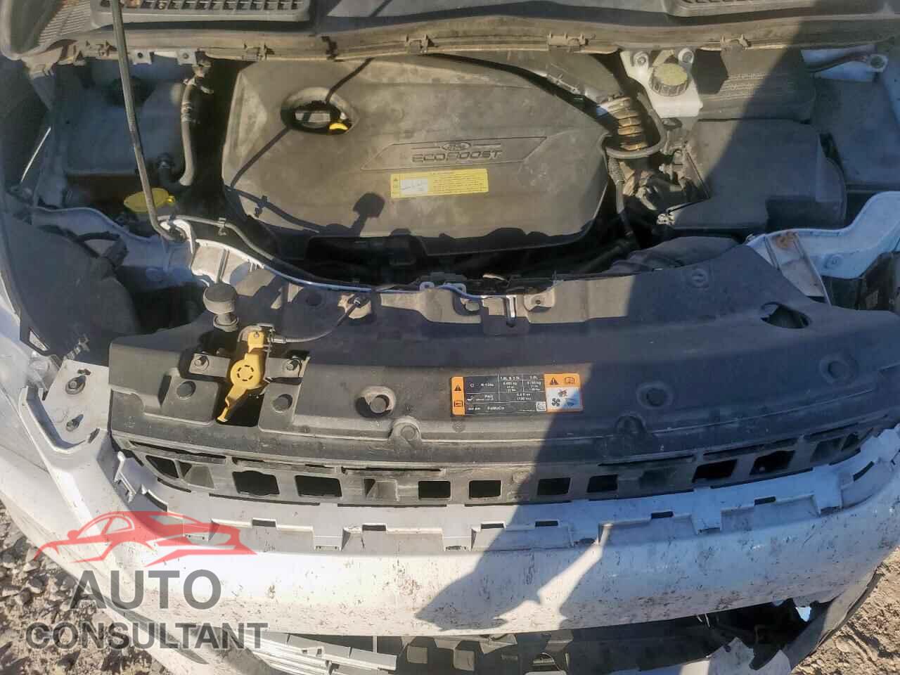 FORD ESCAPE 2014 - 1FMCU0GX4EUB29679