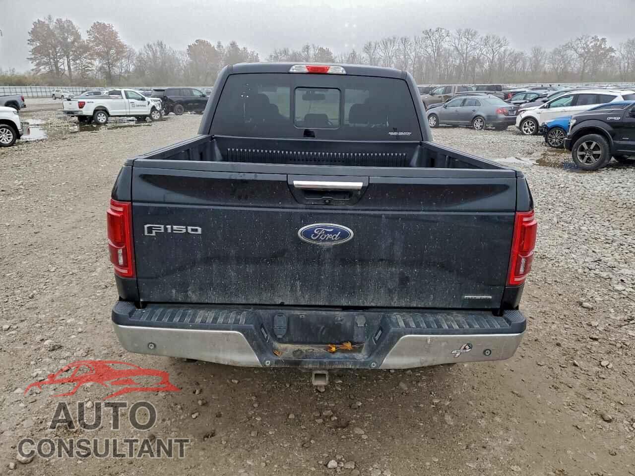 FORD F-150 2016 - 1FTEW1EF4GFA61494