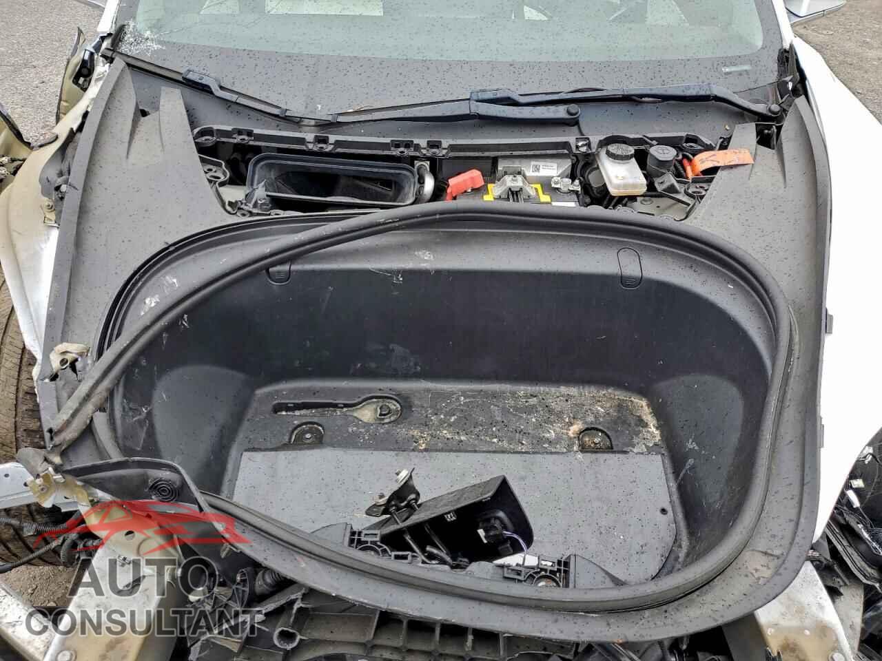 TESLA MODEL 3 2019 - 5YJ3E1EA2KF302044