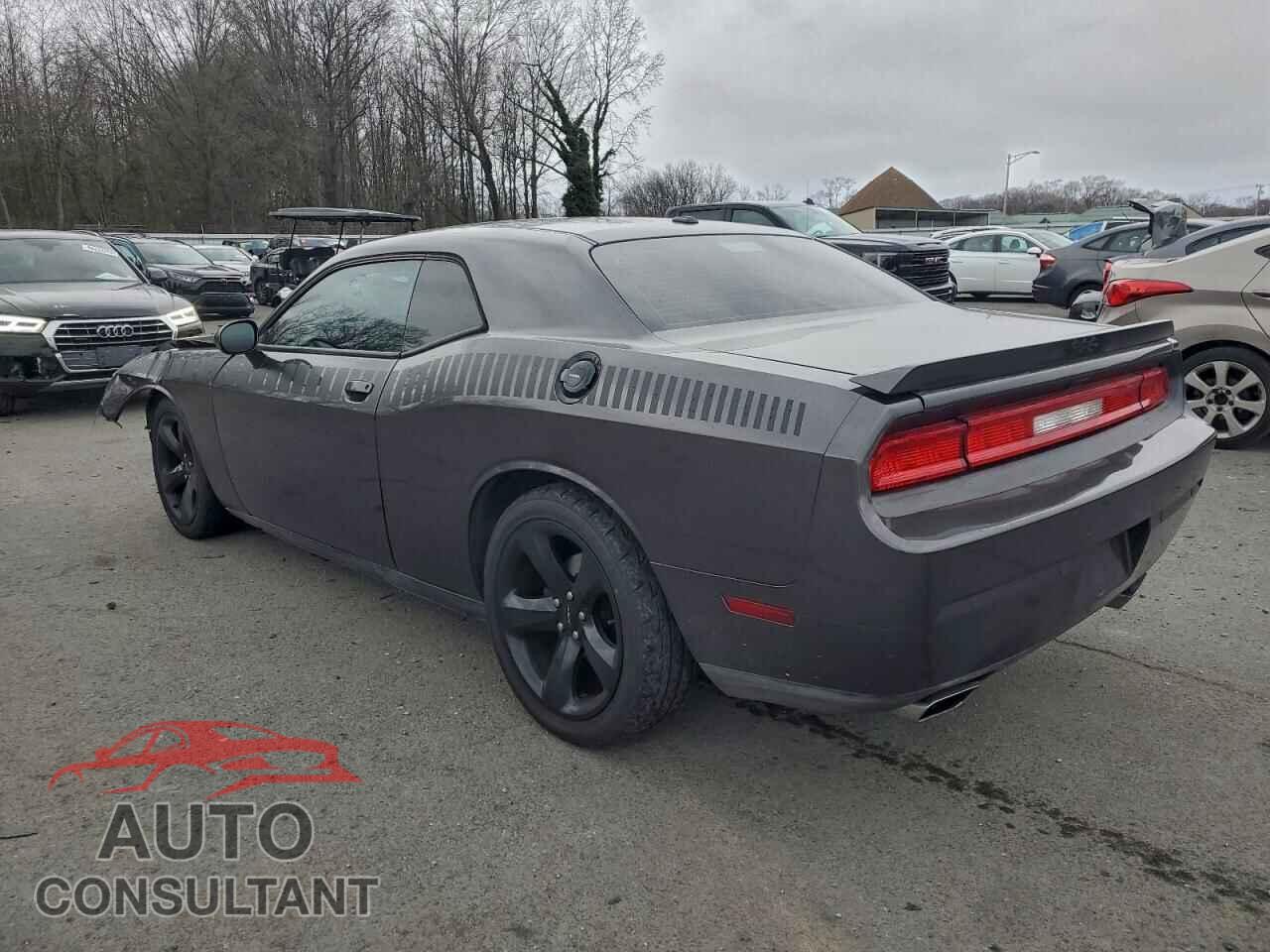 DODGE CHALLENGER 2014 - 2C3CDYBT5EH115191