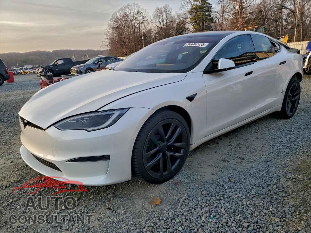 TESLA MODEL S 2023 - 5YJSA1E57PF501124