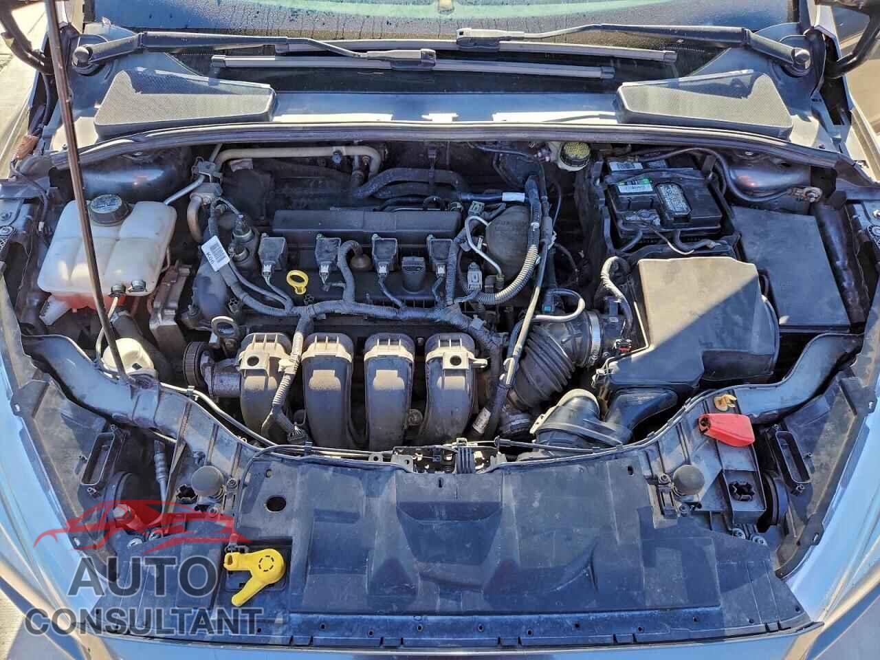 FORD FOCUS 2016 - 1FADP3E24GL202704