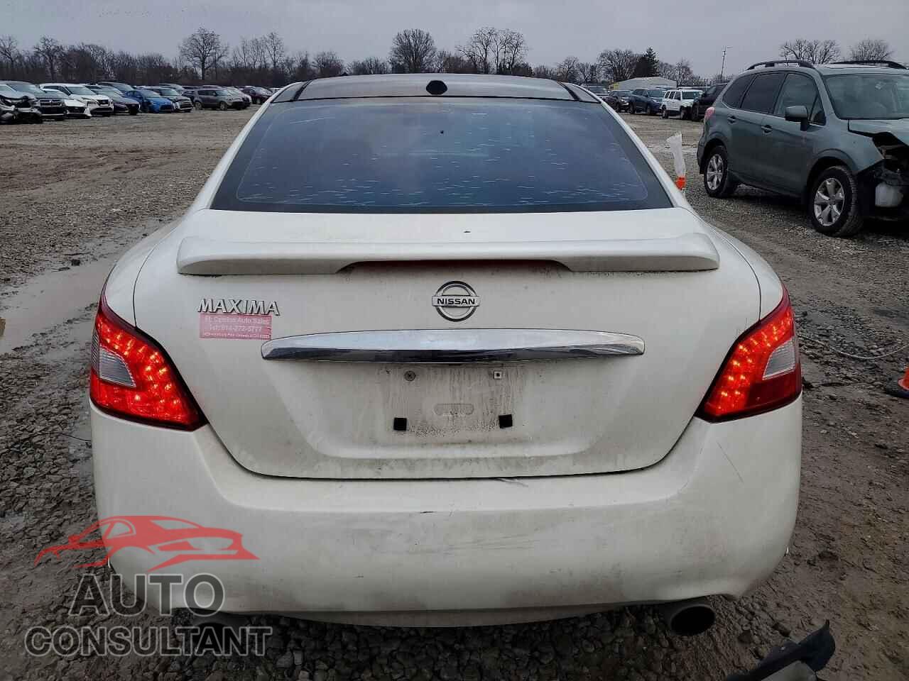 NISSAN MAXIMA 2010 - 1N4AA5AP1AC847609