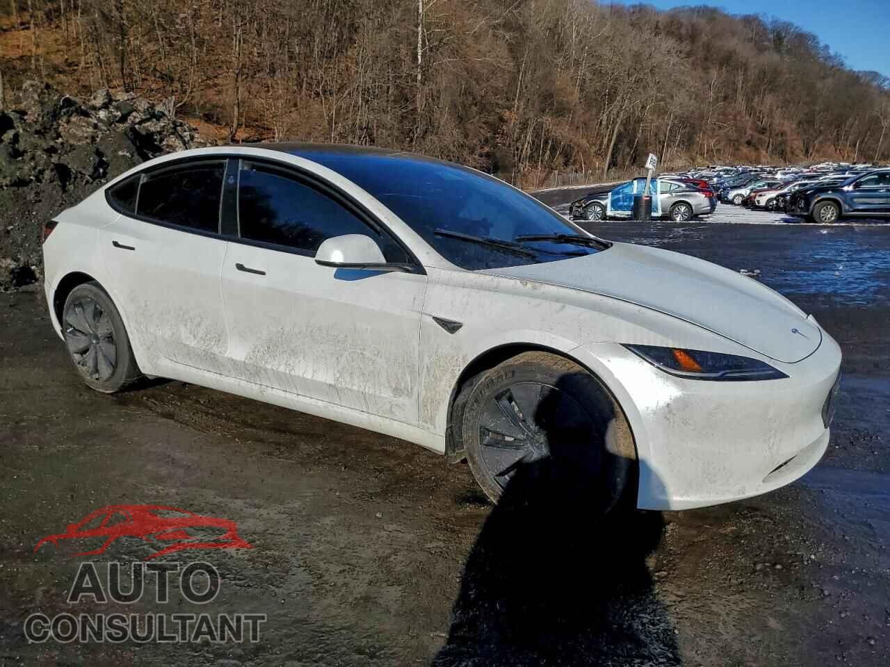 TESLA MODEL 3 2024 - 5YJ3E1EB7RF796405