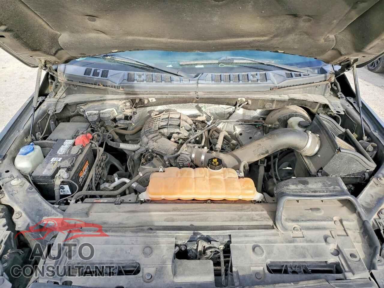 FORD All Models 2016 - 1FTMF1C85GKE06362