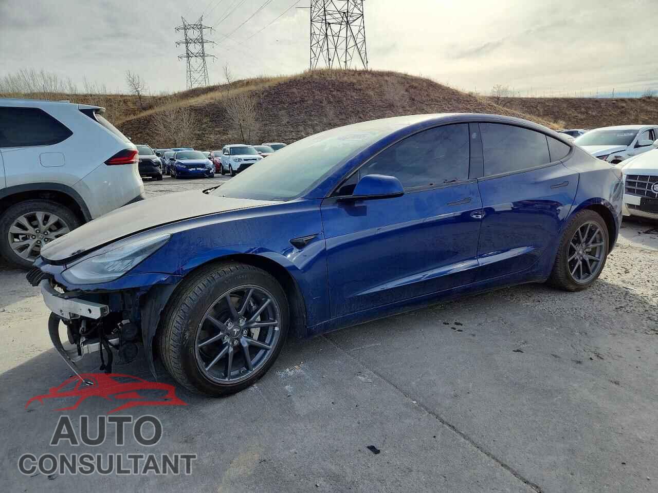 TESLA MODEL 3 2020 - 5YJ3E1EC1LF602239