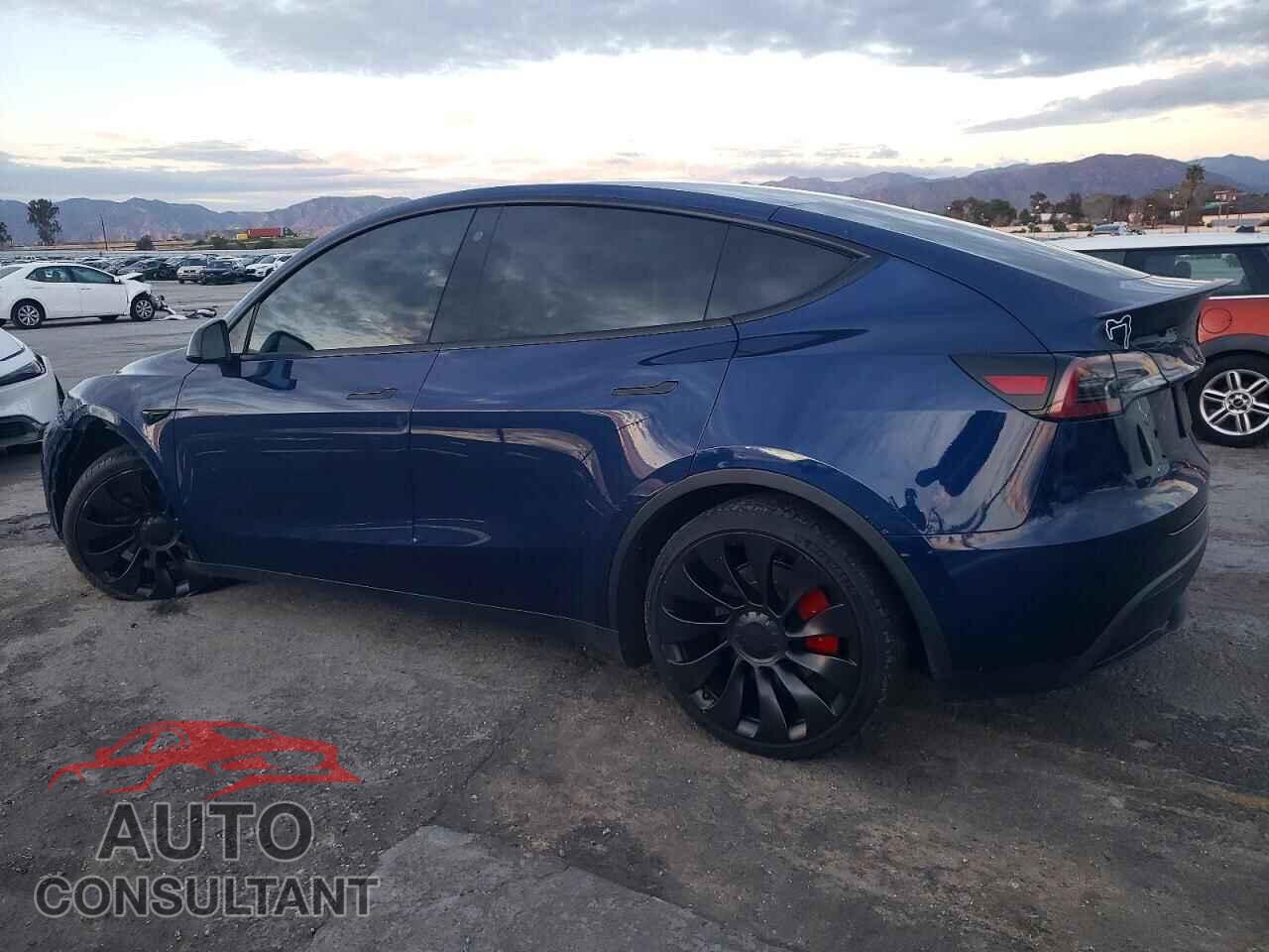 TESLA MODEL Y 2022 - 7SAYGDEF1NF558549