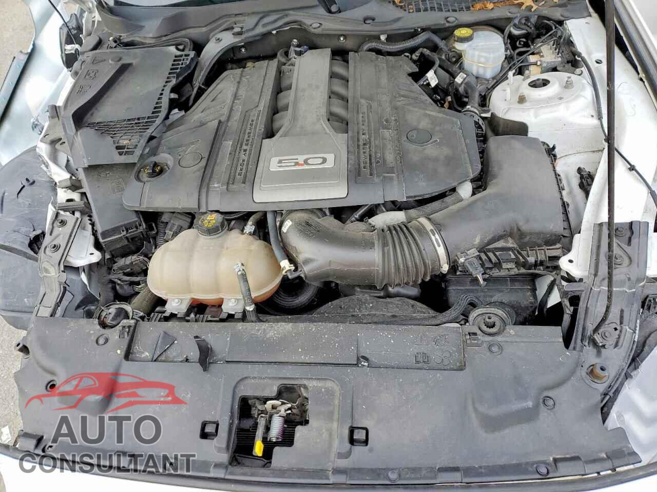 FORD MUSTANG 2018 - 1FA6P8CF4J5162695