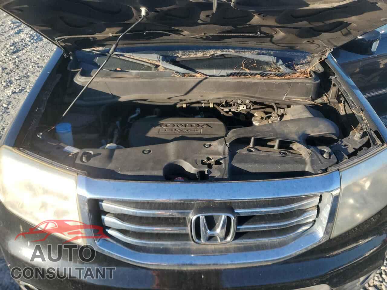 HONDA PILOT 2014 - 5FNYF4H93EB008419