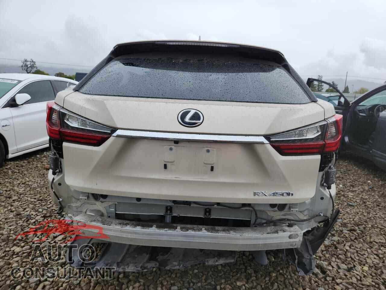LEXUS RX450 2019 - 2T2BGMCA6KC031760