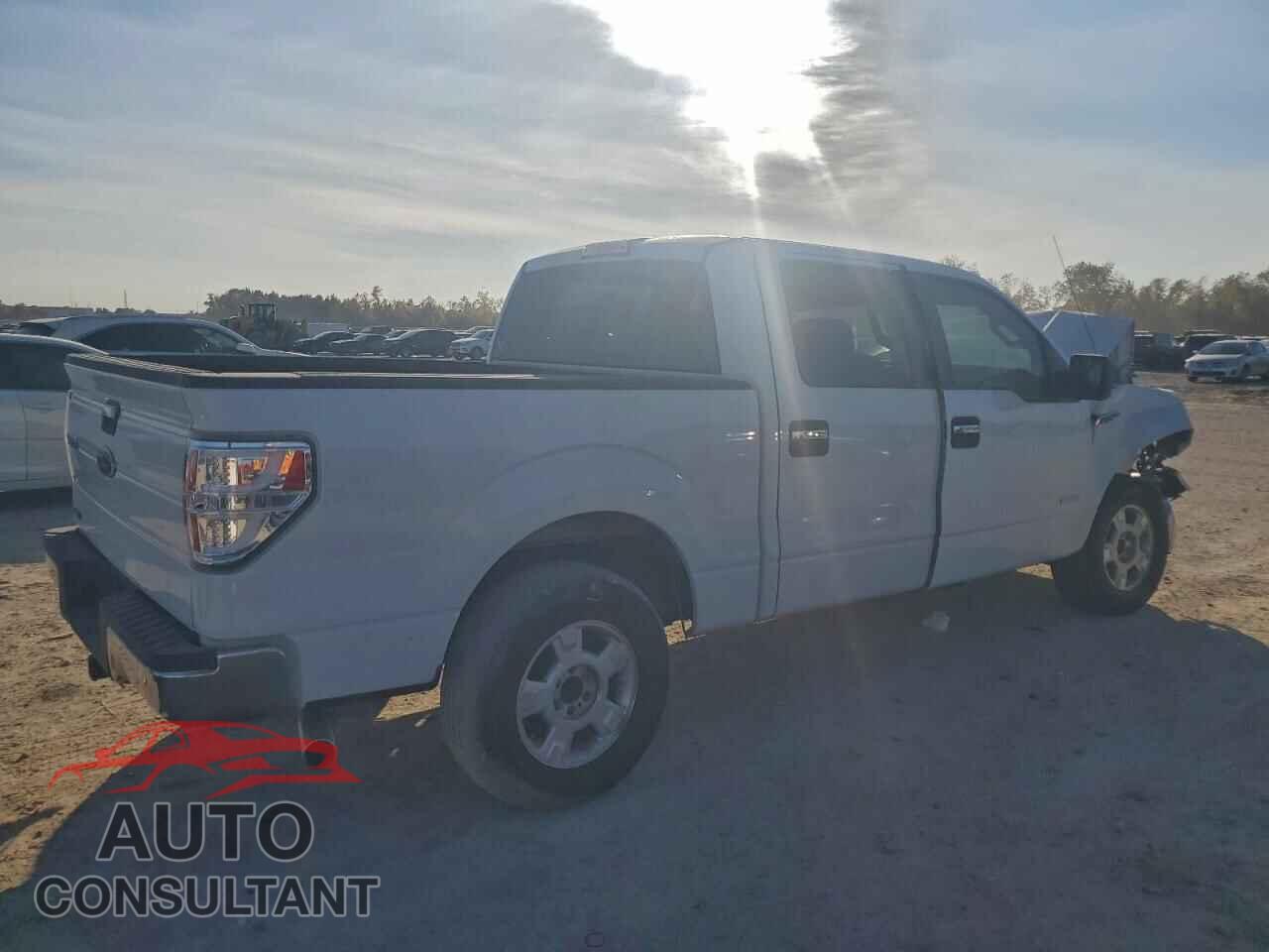 FORD F-150 2013 - 1FTFW1CT1DFA09202