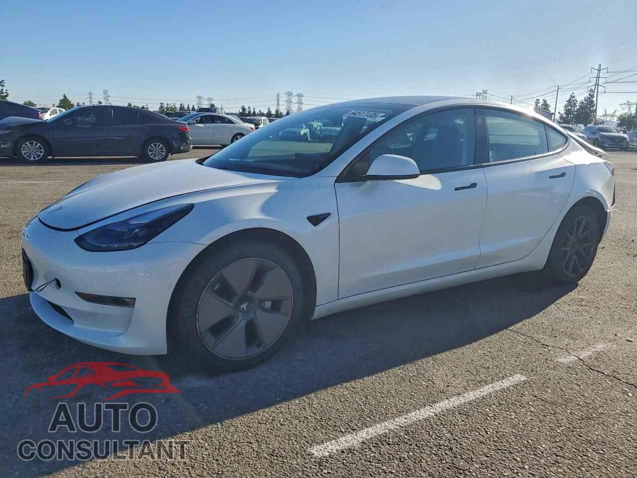 TESLA MODEL 3 2021 - 5YJ3E1EA5MF976207