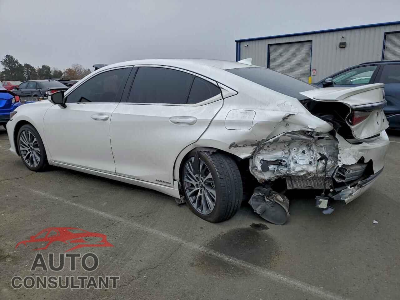 LEXUS ES300 2021 - 58ADA1C19MU002129