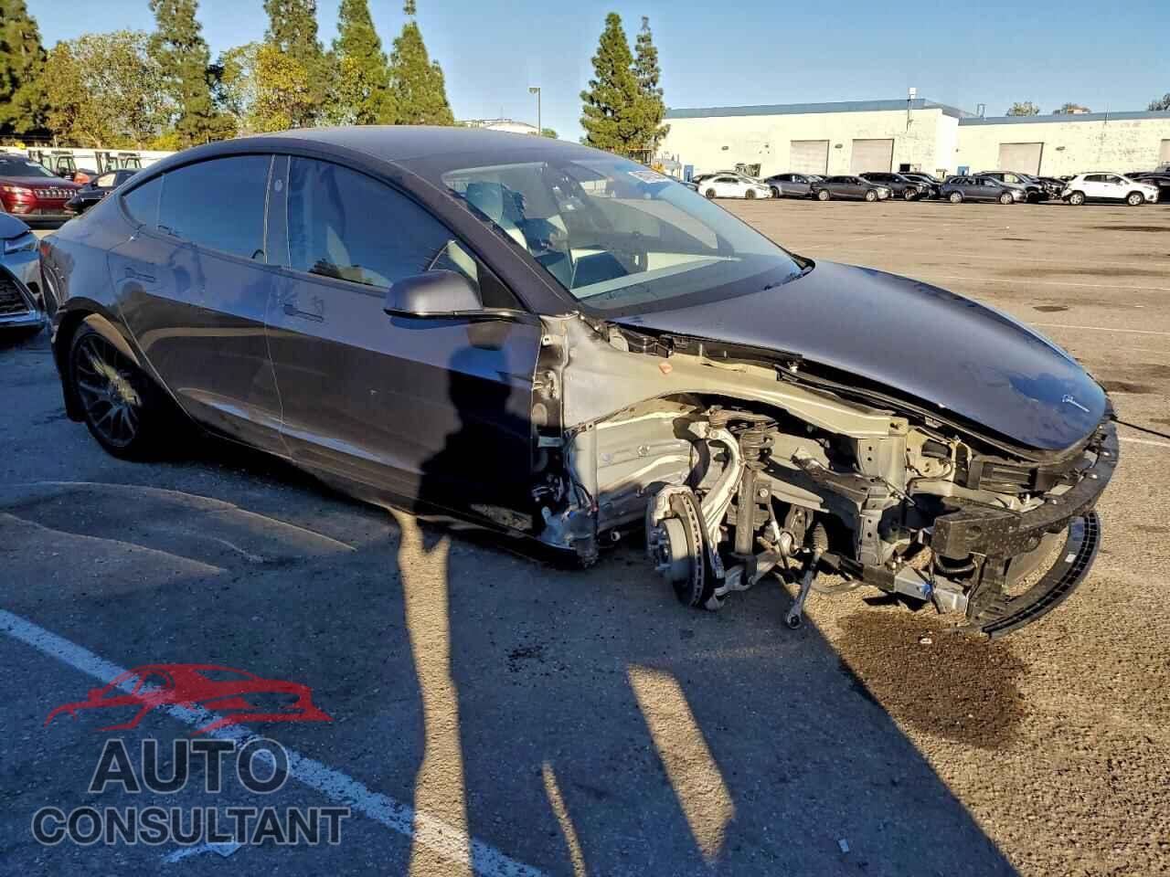 TESLA MODEL 3 2024 - 5YJ3E1EA5RF867625