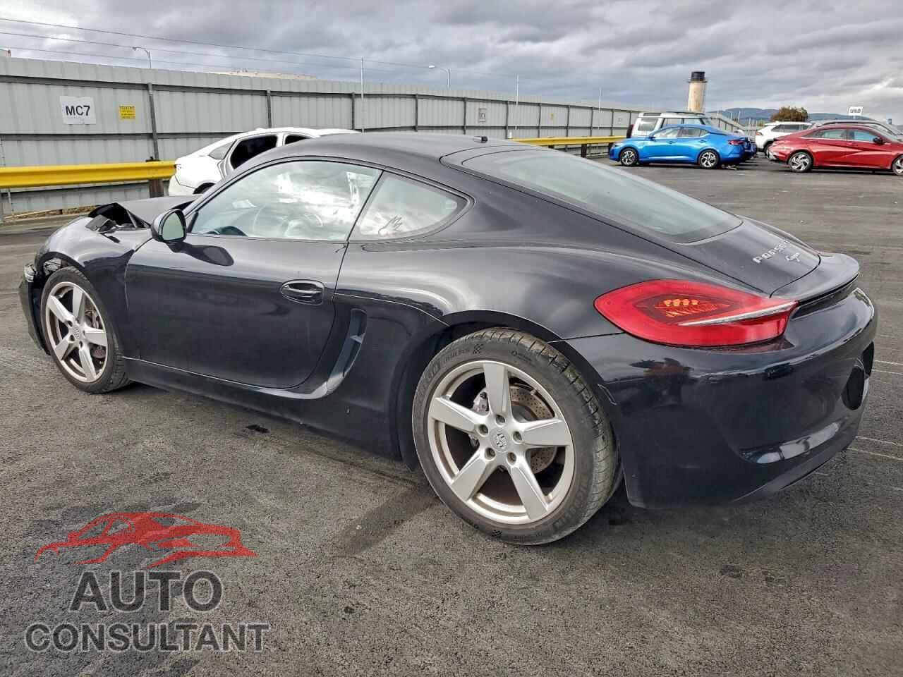 PORSCHE CAYMAN 2015 - WP0AA2A89FK164135