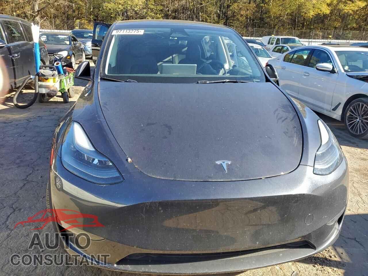 TESLA MODEL Y 2024 - 7SAYGDED2RF082106