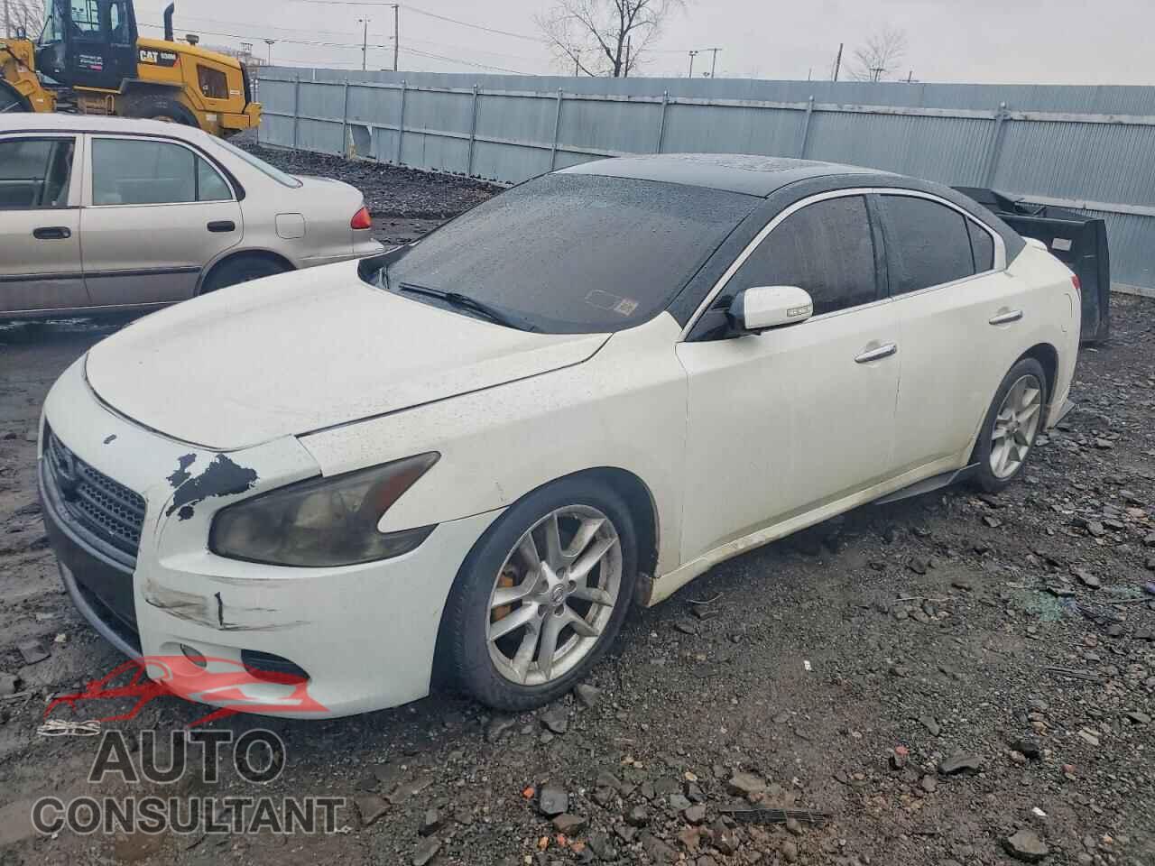 NISSAN MAXIMA 2010 - 1N4AA5AP1AC812164