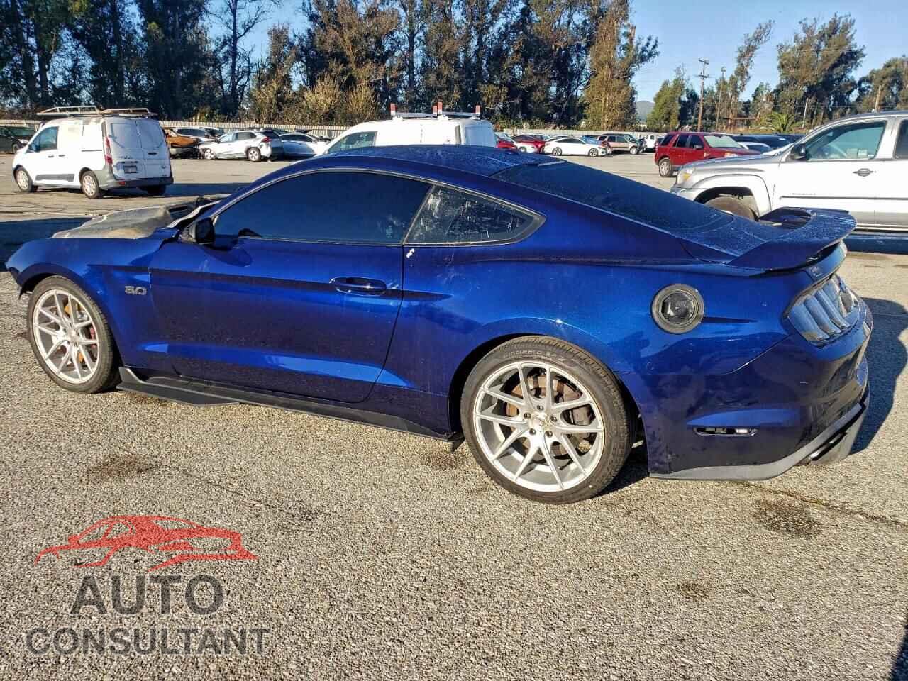 FORD MUSTANG 2019 - 1FA6P8CF6K5196686