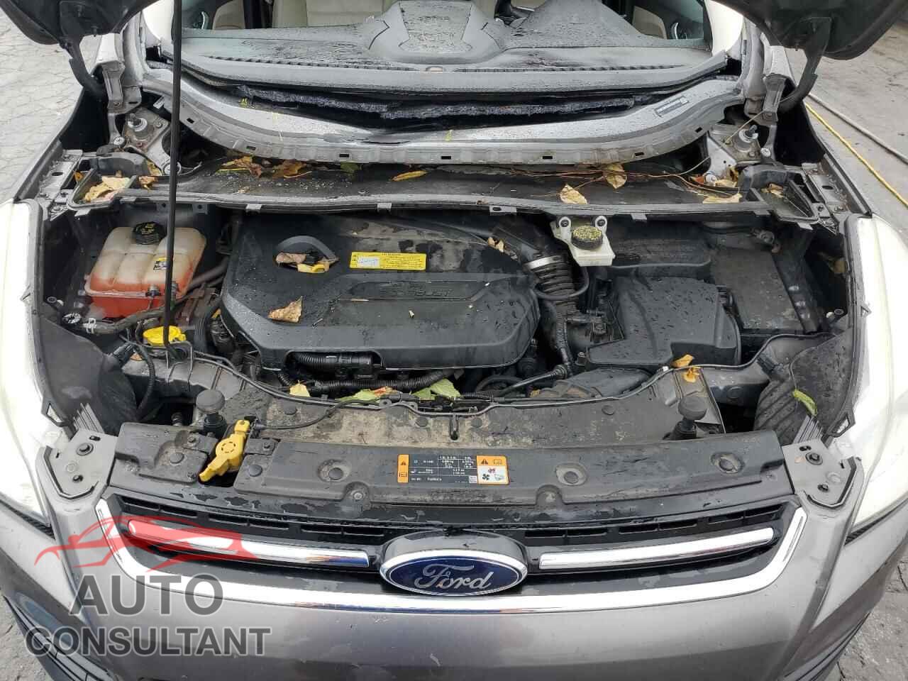 FORD ESCAPE 2013 - 1FMCU0HX8DUC01559
