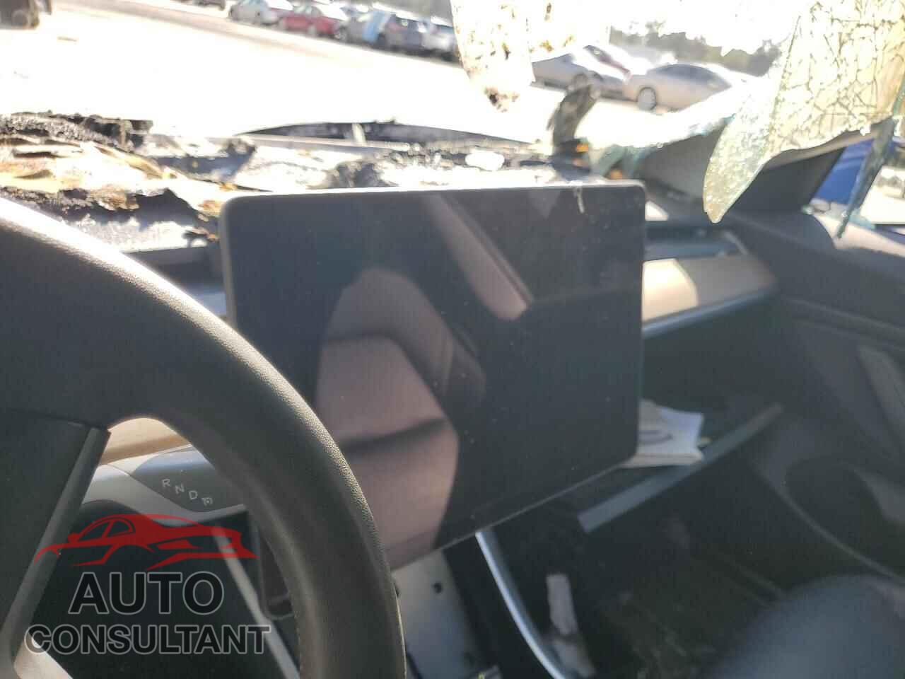 TESLA MODEL 3 2019 - 5YJ3E1EB2KF442149