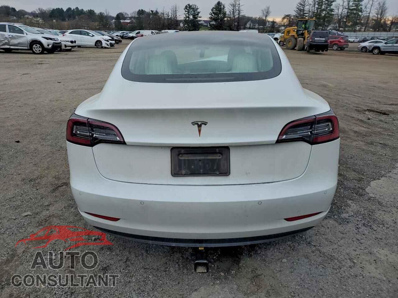 TESLA MODEL 3 2019 - 5YJ3E1EA2KF302044