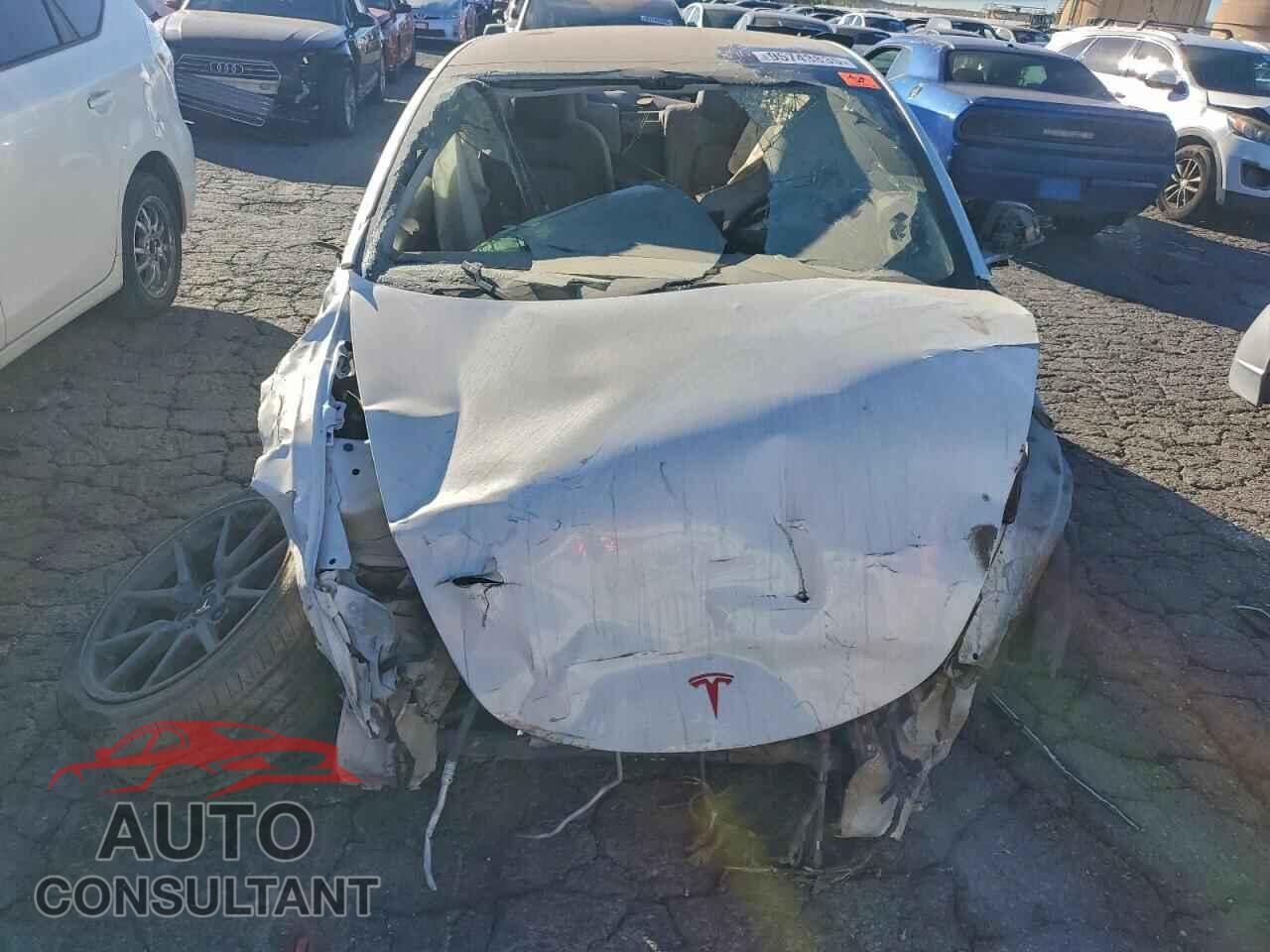 TESLA MODEL 3 2018 - 5YJ3E1EB0JF092342