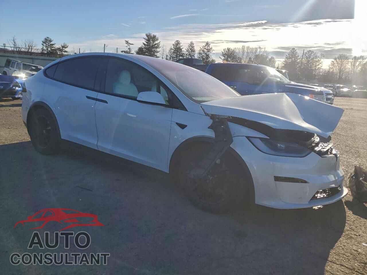 TESLA MODEL X 2024 - 7SAXCBE63RF453688