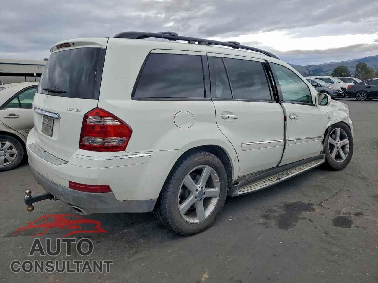 MERCEDES-BENZ GL-CLASS 2009 - 4JGBF25E69A478613