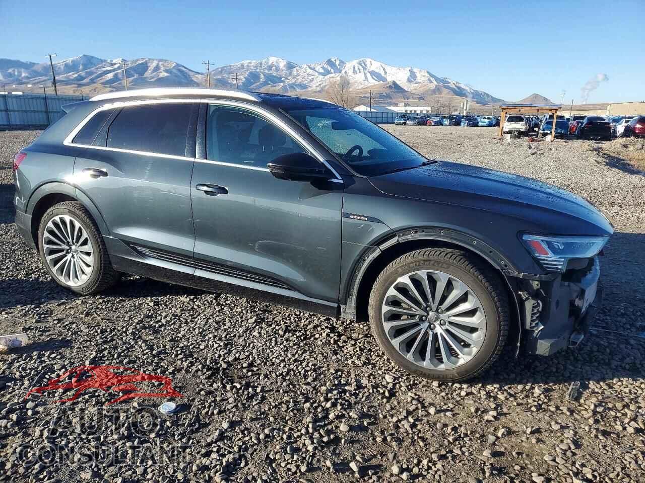 AUDI E-TRON 2019 - WA1VABGE7KB008906