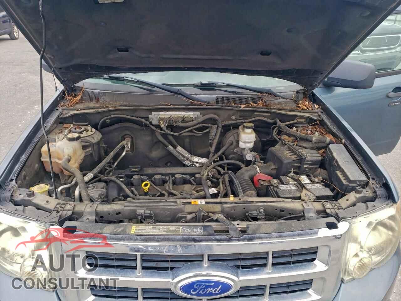 FORD ESCAPE 2011 - 1FMCU0D73BKC08501